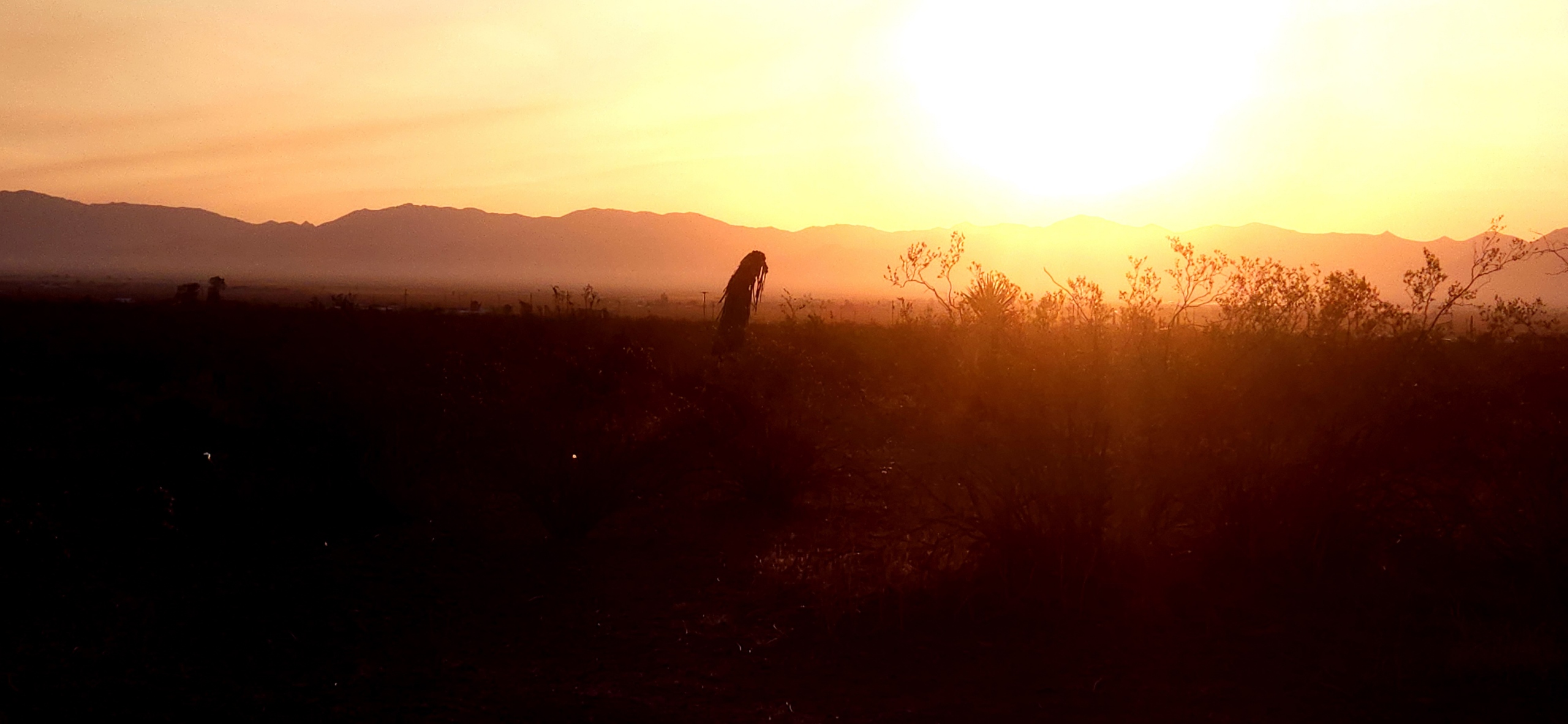 IMG_20250709_112953 (1)